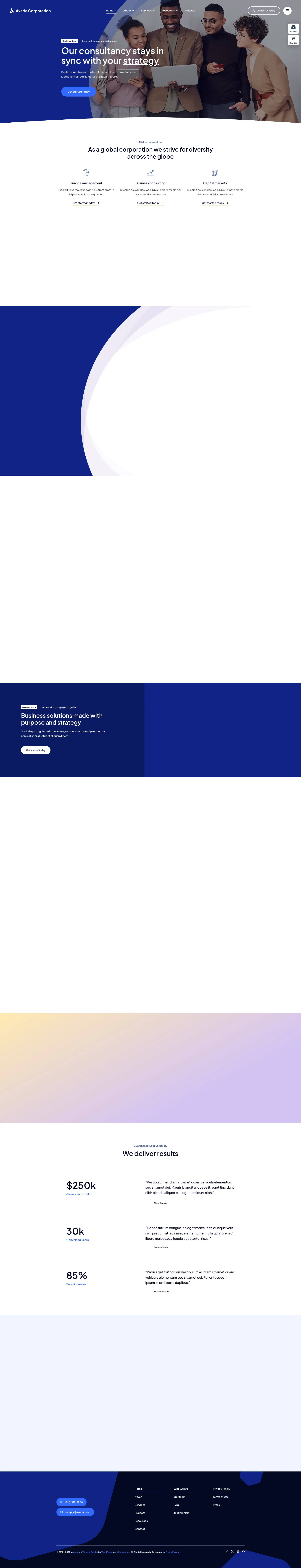 Large Corporation & Enterprise Preview