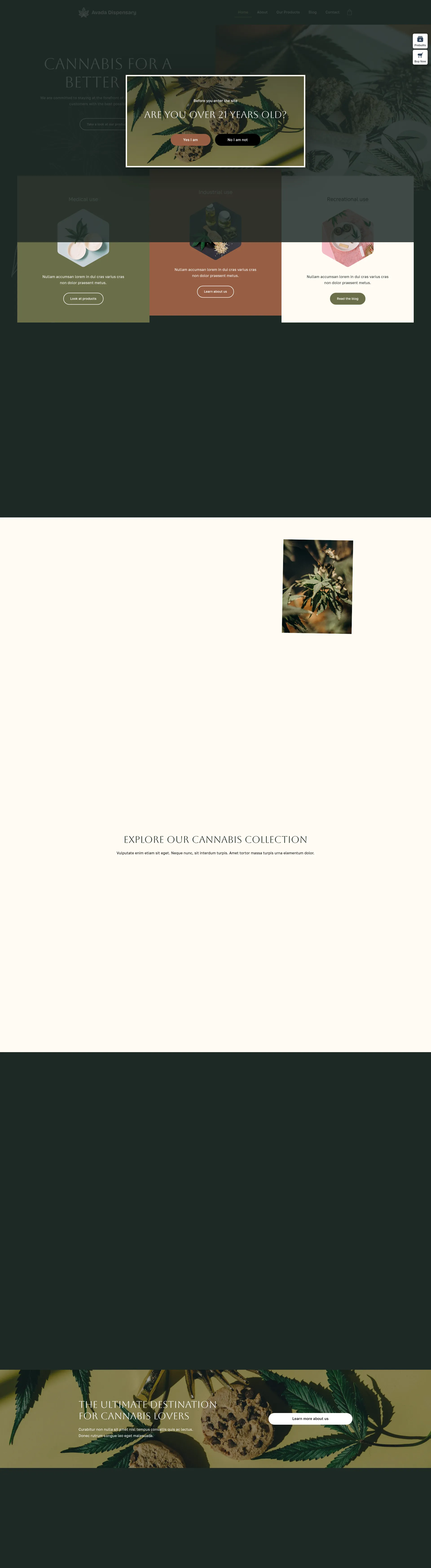 RetailPro Dispensary Preview