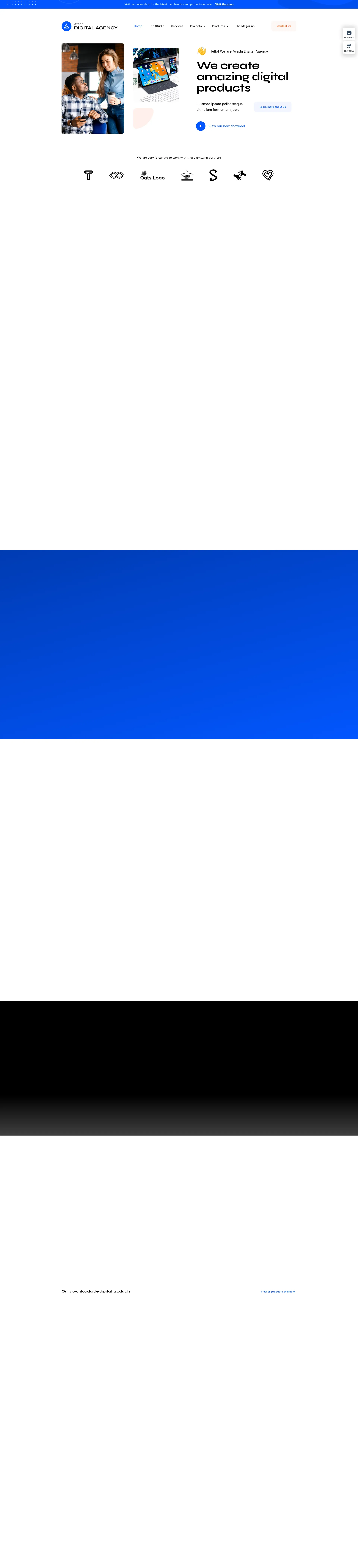 TechVision Solutions Preview