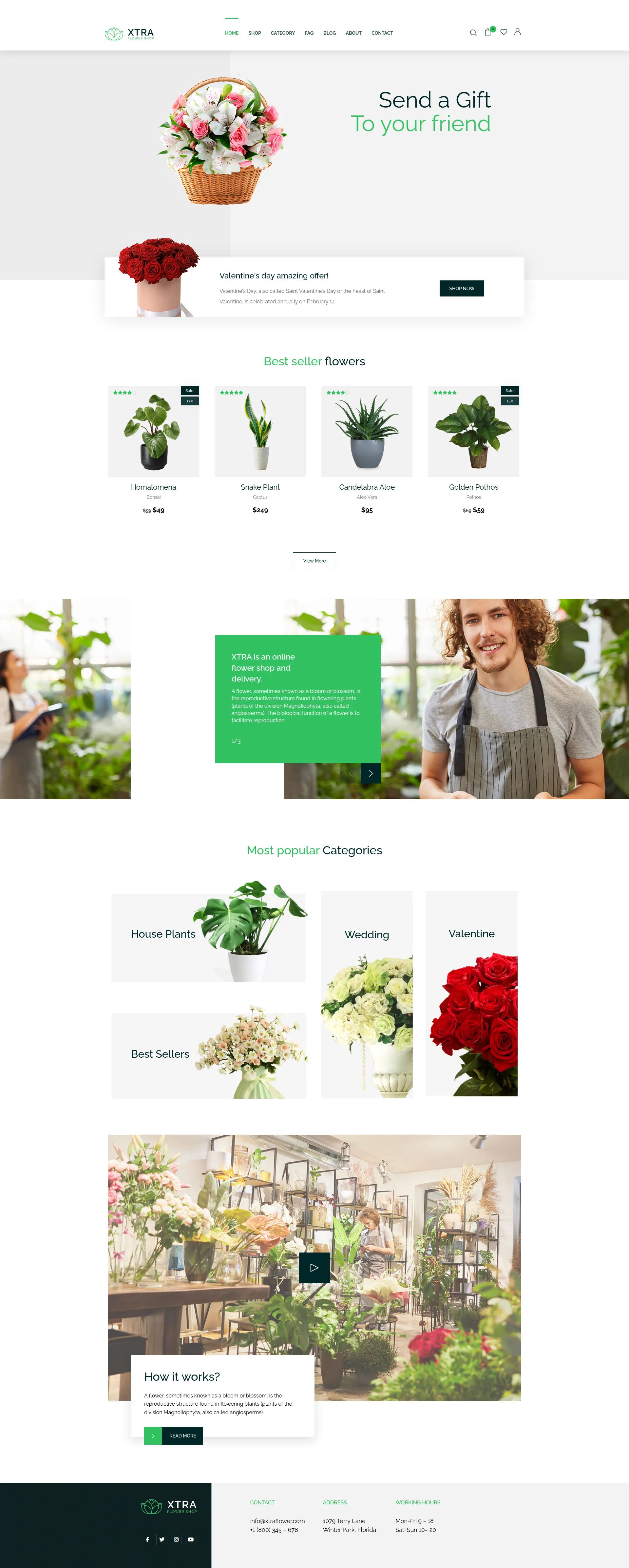 Petals & Stems Florist Preview