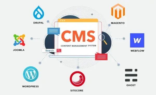 CMS Website